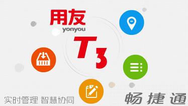 T3����